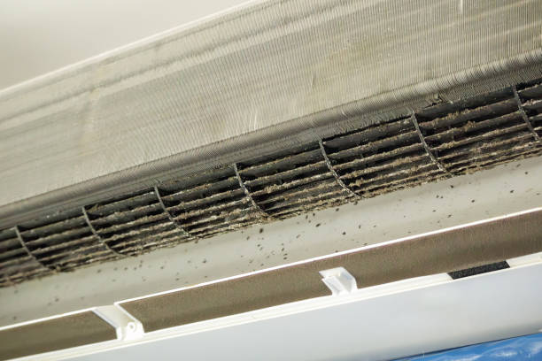 Best Industrial Air Duct Cleaning in West Athens, CA